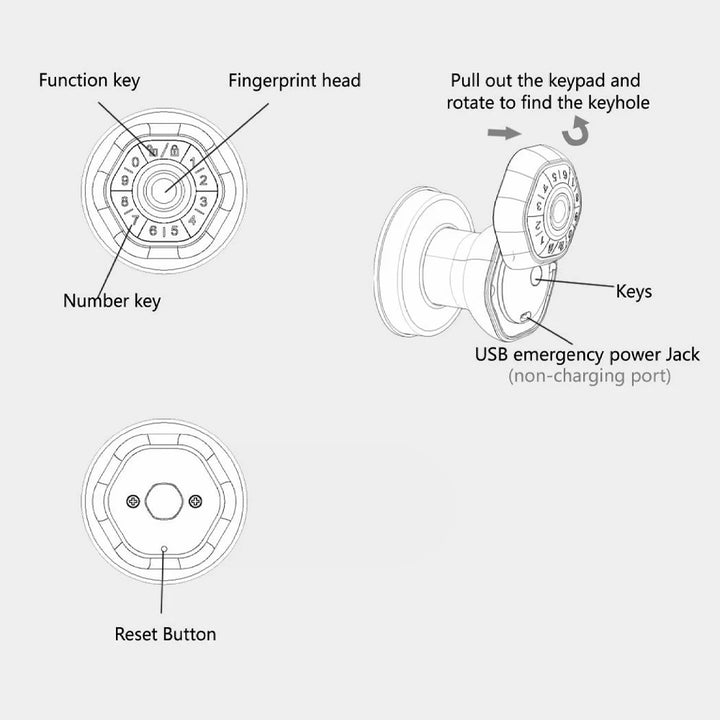 RAYKUBE Q5 USA. Free Delivery Tuya BLE Smart Fingerprint Door Lock Electronic Lock Round Knob with Password/Key/Tuya APP Unlock